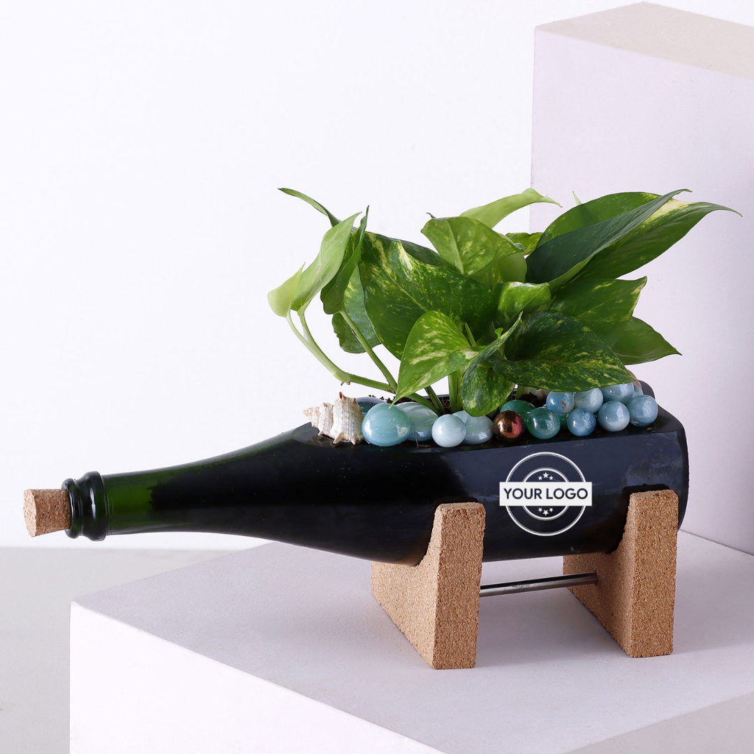 Money Plant Champagne Bottle Planter