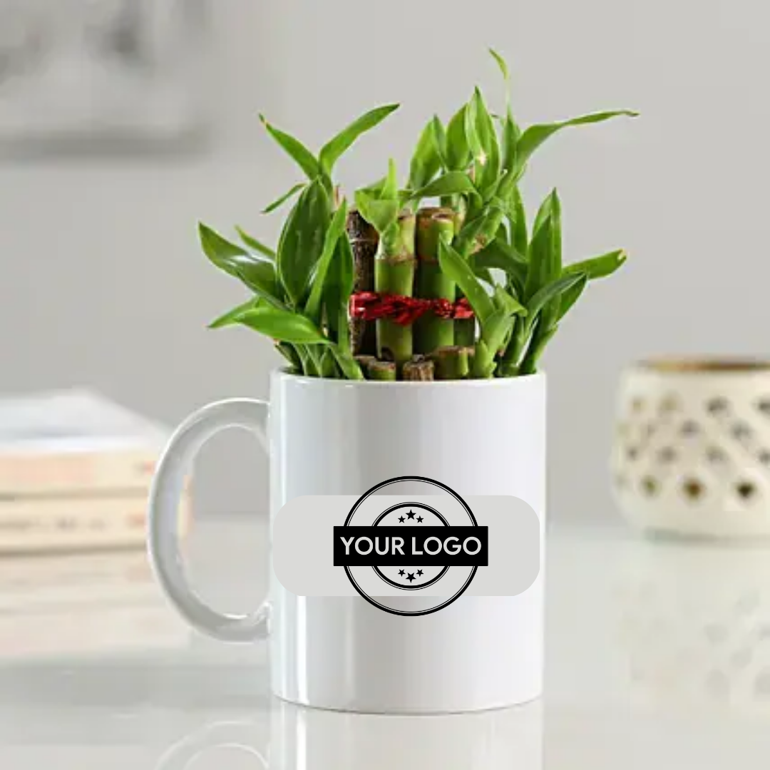 Two Layer Bamboo Plant In Mug