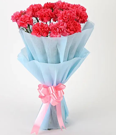 Adorable Pink Carnations Bouquet